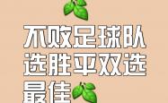 开云官网-球员们全力以赴，为球队赢得胜利贡献力量