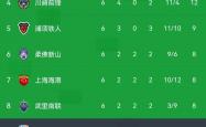 开云体育入口-中超球队战绩出色，备战亚冠赛事