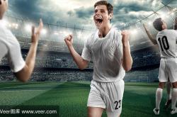 开云体育下载-包含胜利的喜悦与失败的沉痛，球场上不同风景的词条