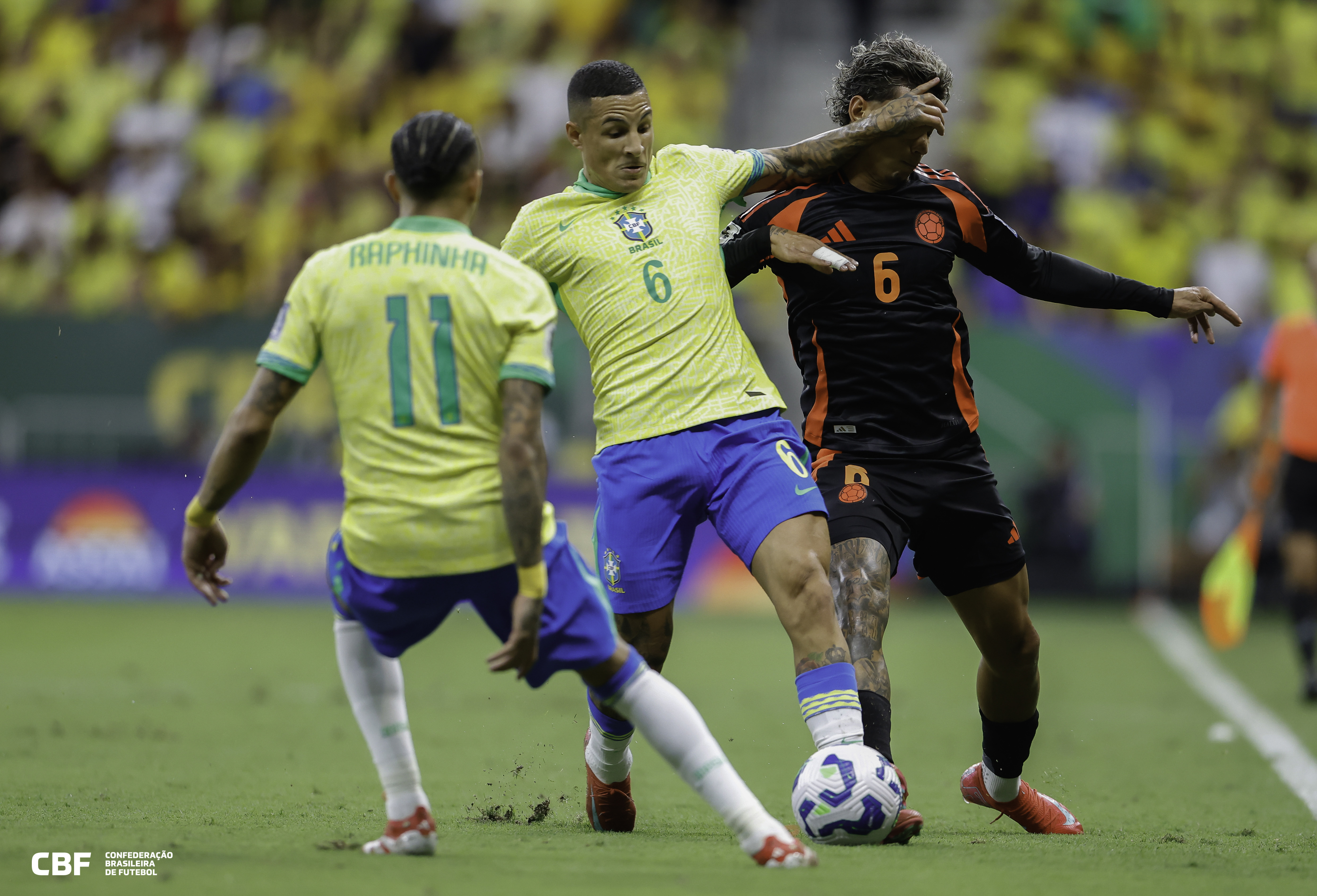 南美篮球锦标赛结束,巴西队夺冠 南美篮球锦标赛结束,巴西队夺冠