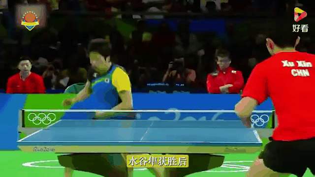 日本队碾压中国队，许昕统治全场的简单介绍